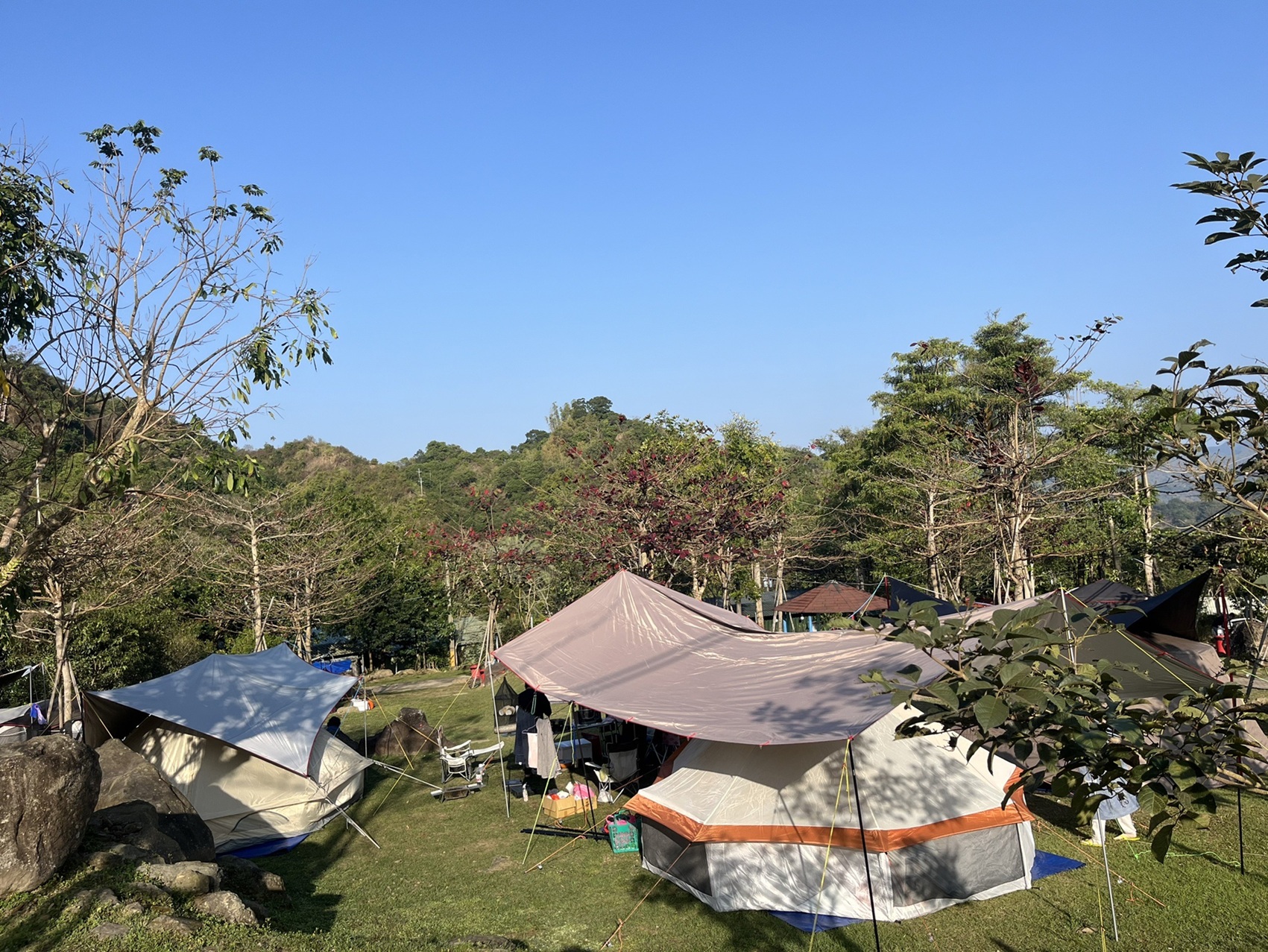 走入山城秘境！來場星空、夜梅與山林療癒交織的深度露營之旅