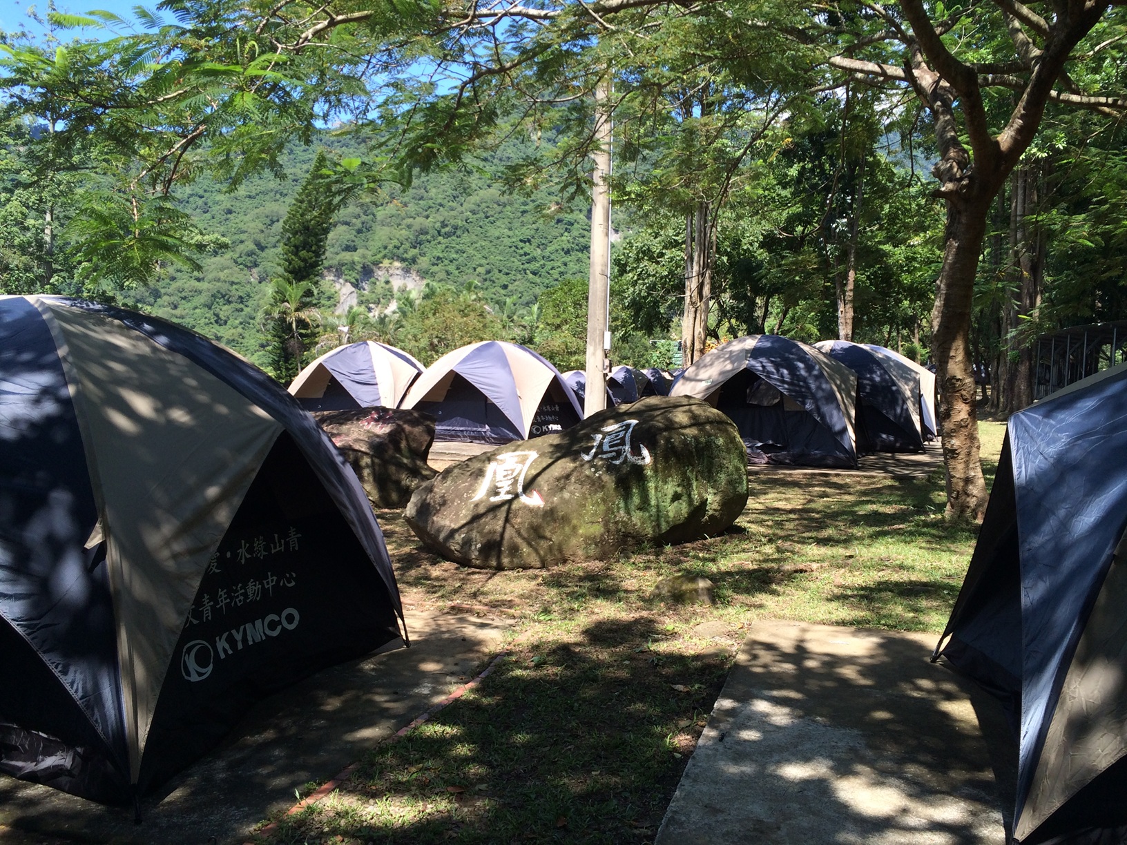 走入山城秘境！來場星空、夜梅與山林療癒交織的深度露營之旅