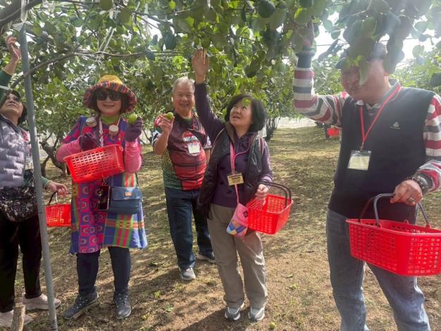 圖片來源：臺南市政府