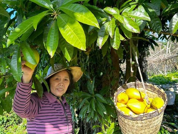 圖片來源：臺南市政府