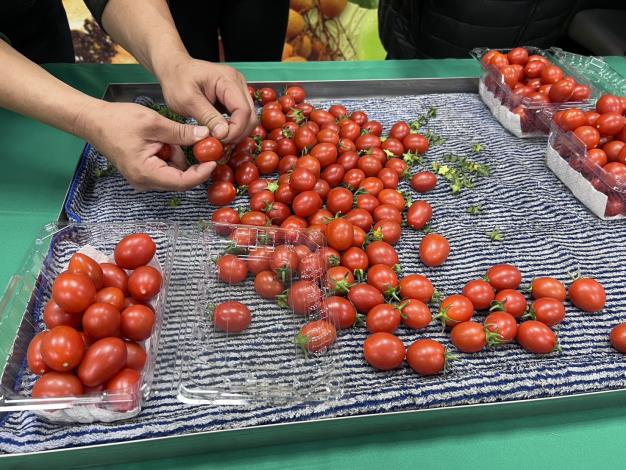 圖片來源：臺南市政府