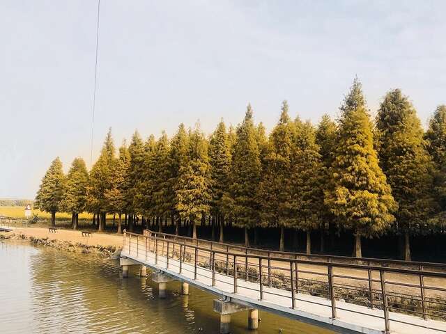 因應春節返鄉與旅遊人潮　台南啟動交通疏運整備