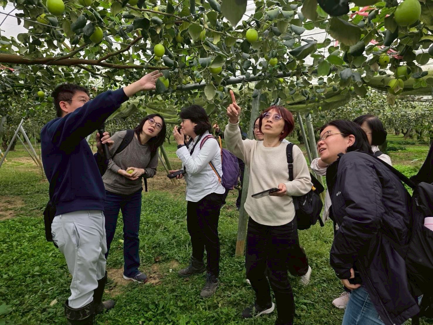 臺南推動女力交流　婦女新知三會走入楠西體驗女性參與實踐