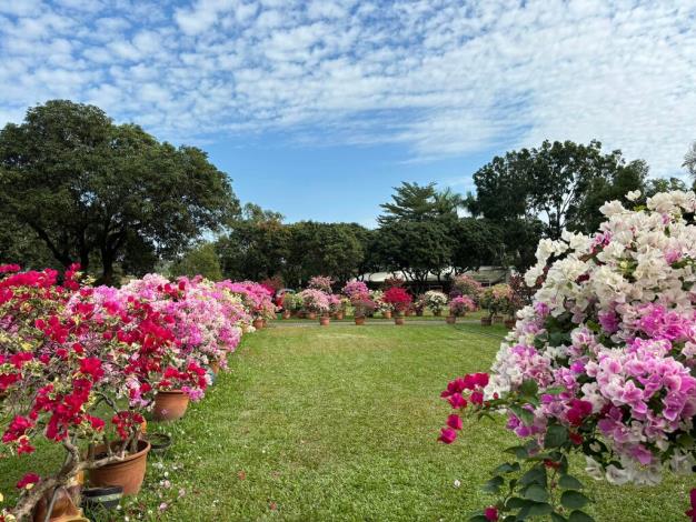 圖片來源：臺南市政府