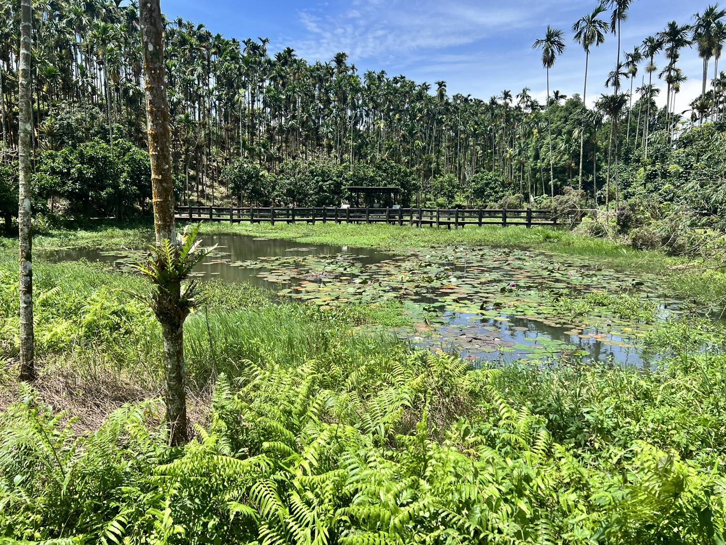 台南東山：產業文化結合，觀光提案獲中央千萬補助！