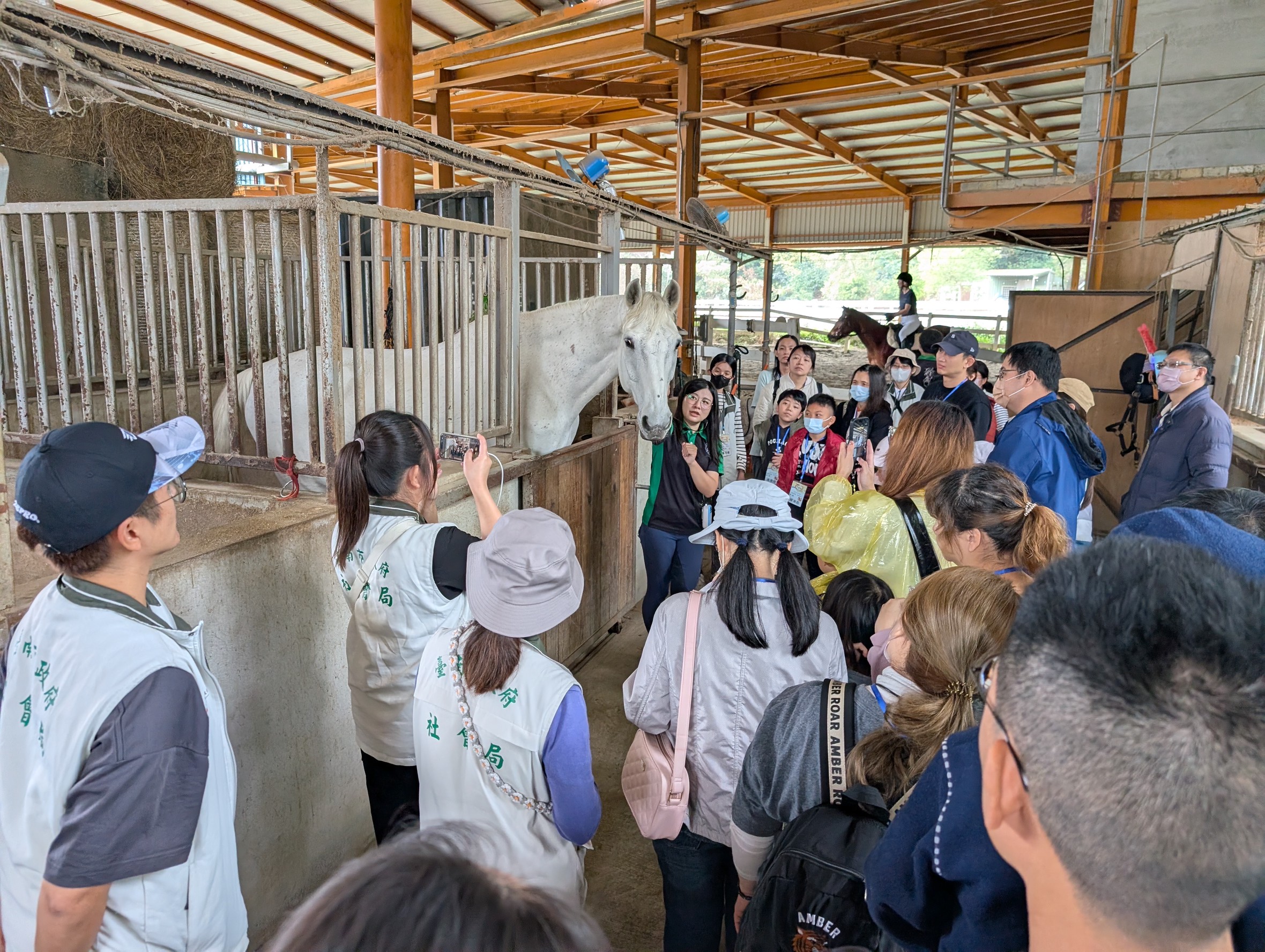 黃偉哲推動身心障礙學童冬令營  學童騎馬體驗感官潛能、親子共成長