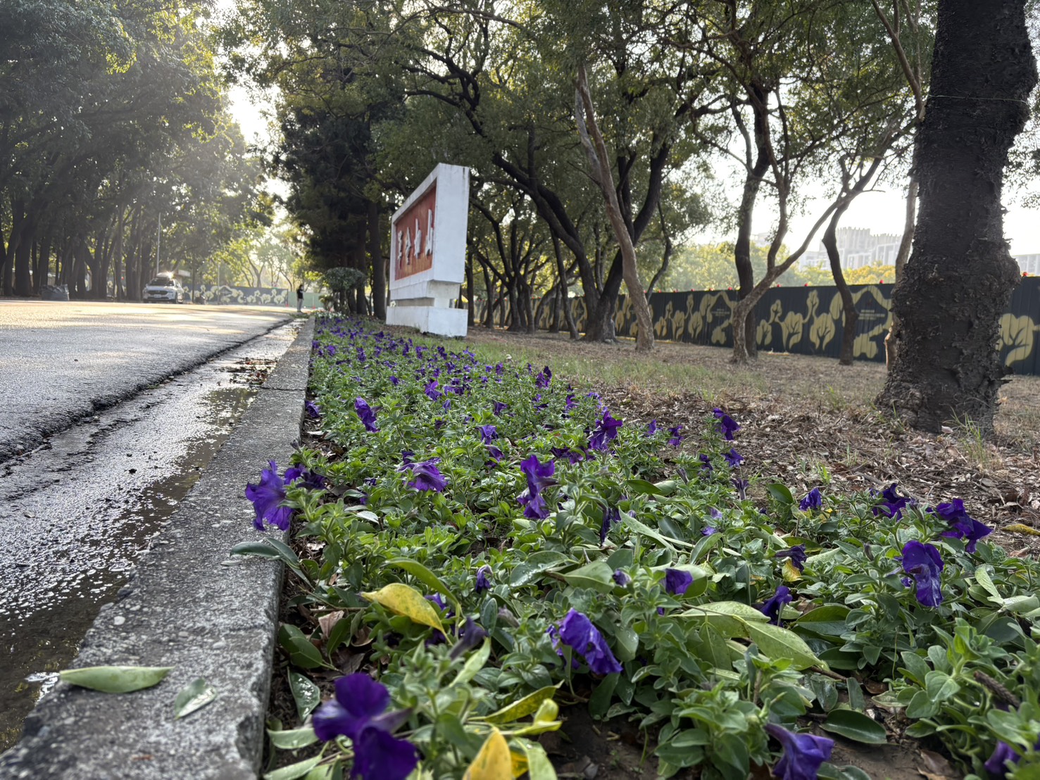 永康砲校原貌林蔭綠帶春節前開放，邀市民和退役官兵重返青春歲月