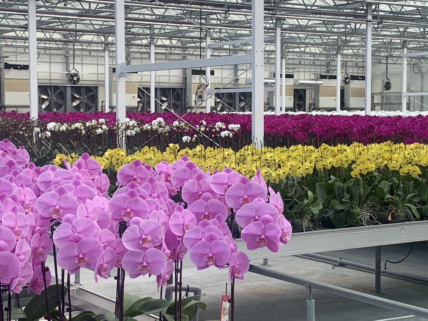 台美對等貿易新局面，黃偉哲：把握商機、擴大出口