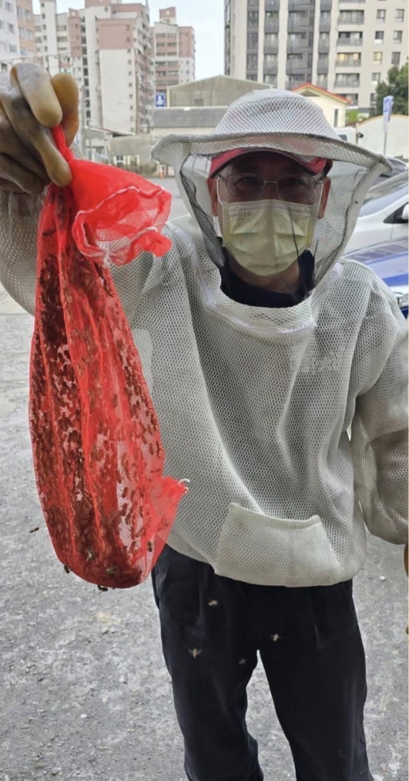 臺南市捕蜂捉蛇全年無休　守護市民生命安全