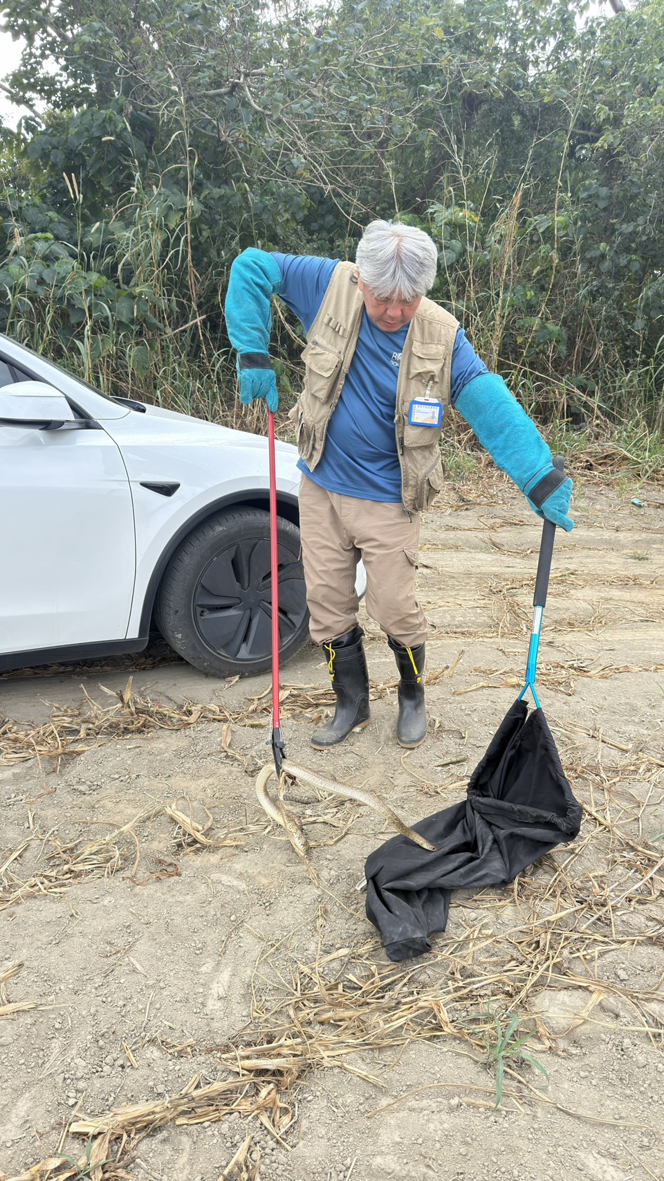 臺南市捕蜂捉蛇全年無休　守護市民生命安全