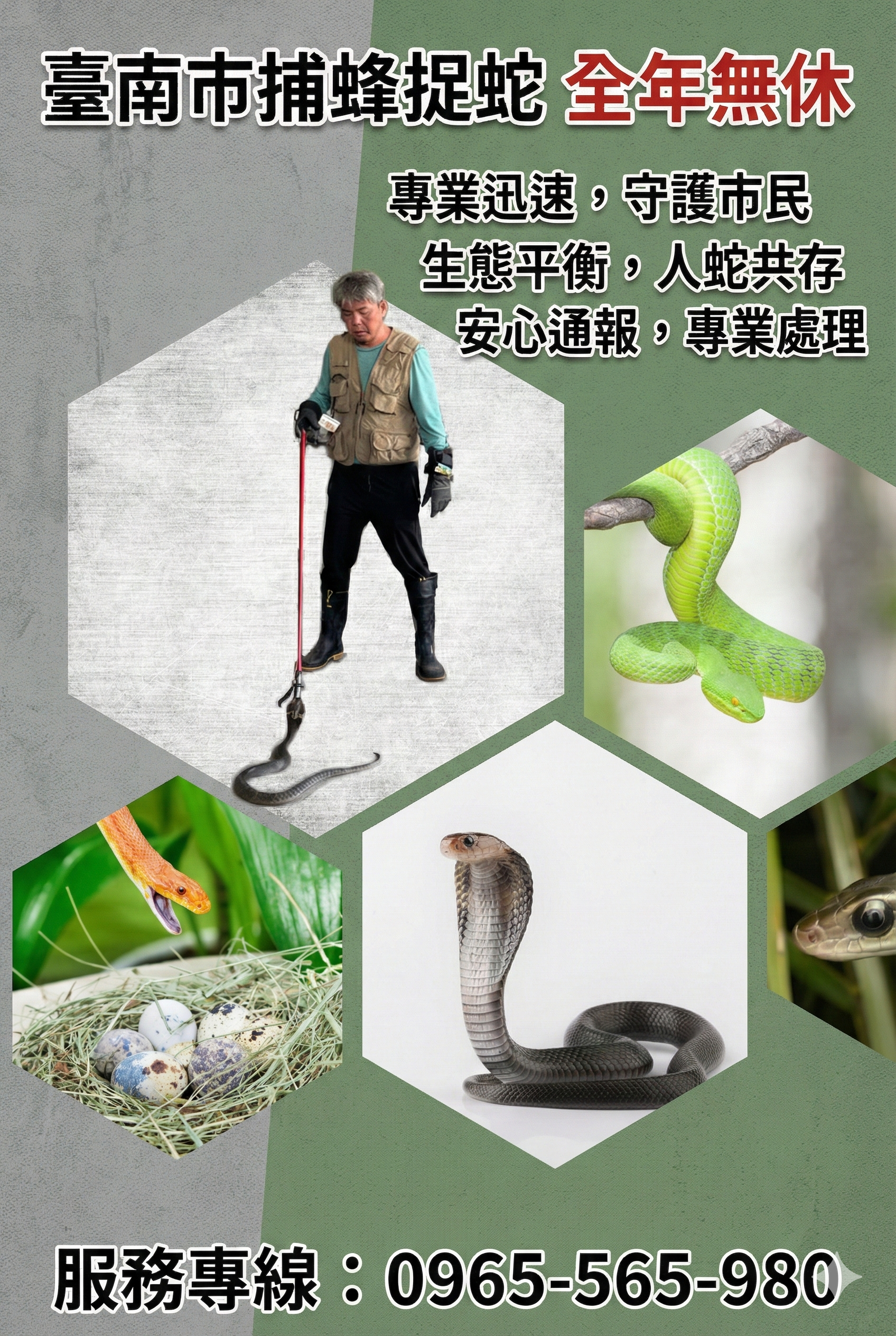 台南蜂蛇出勤全年無休！專業人員守護市民安全