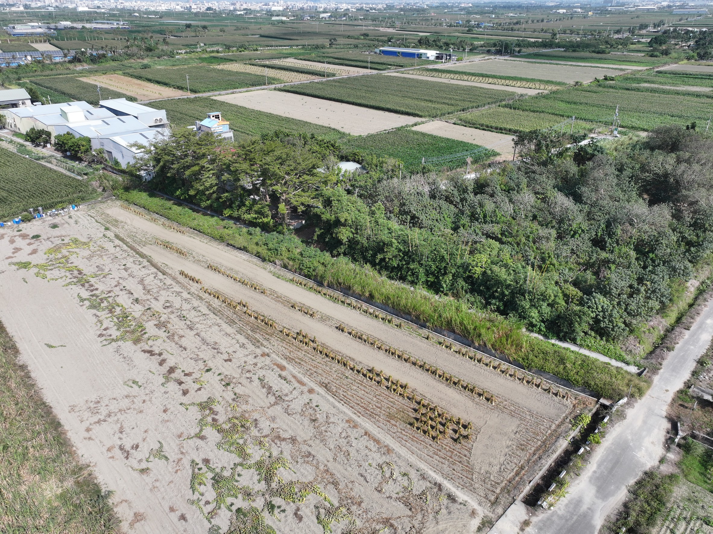 台南市地政局導入無人機巡查，提升土地管理效率，守護市民權益！