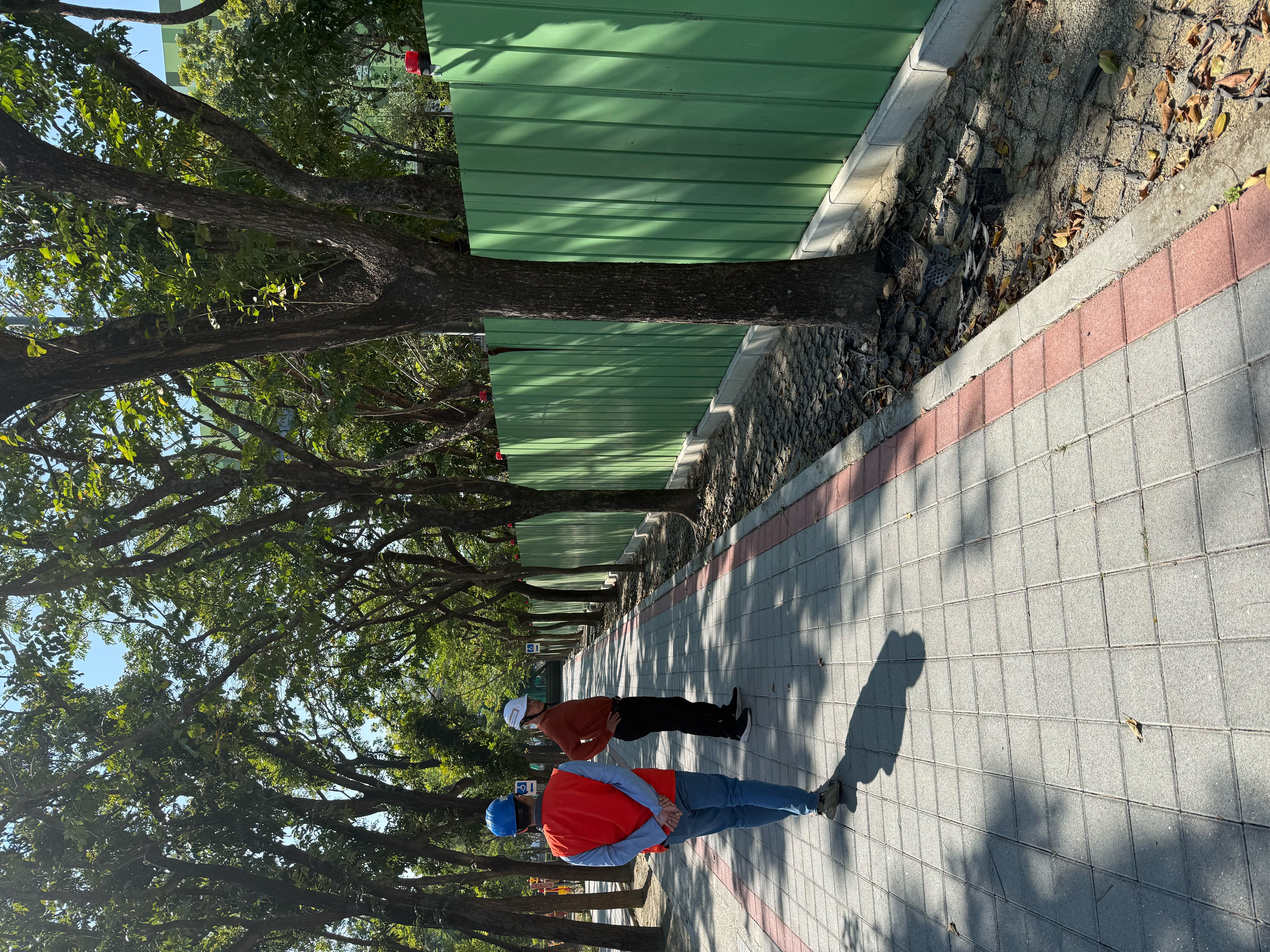 落實職安與應變機制　體育設施工地春節安全無死角