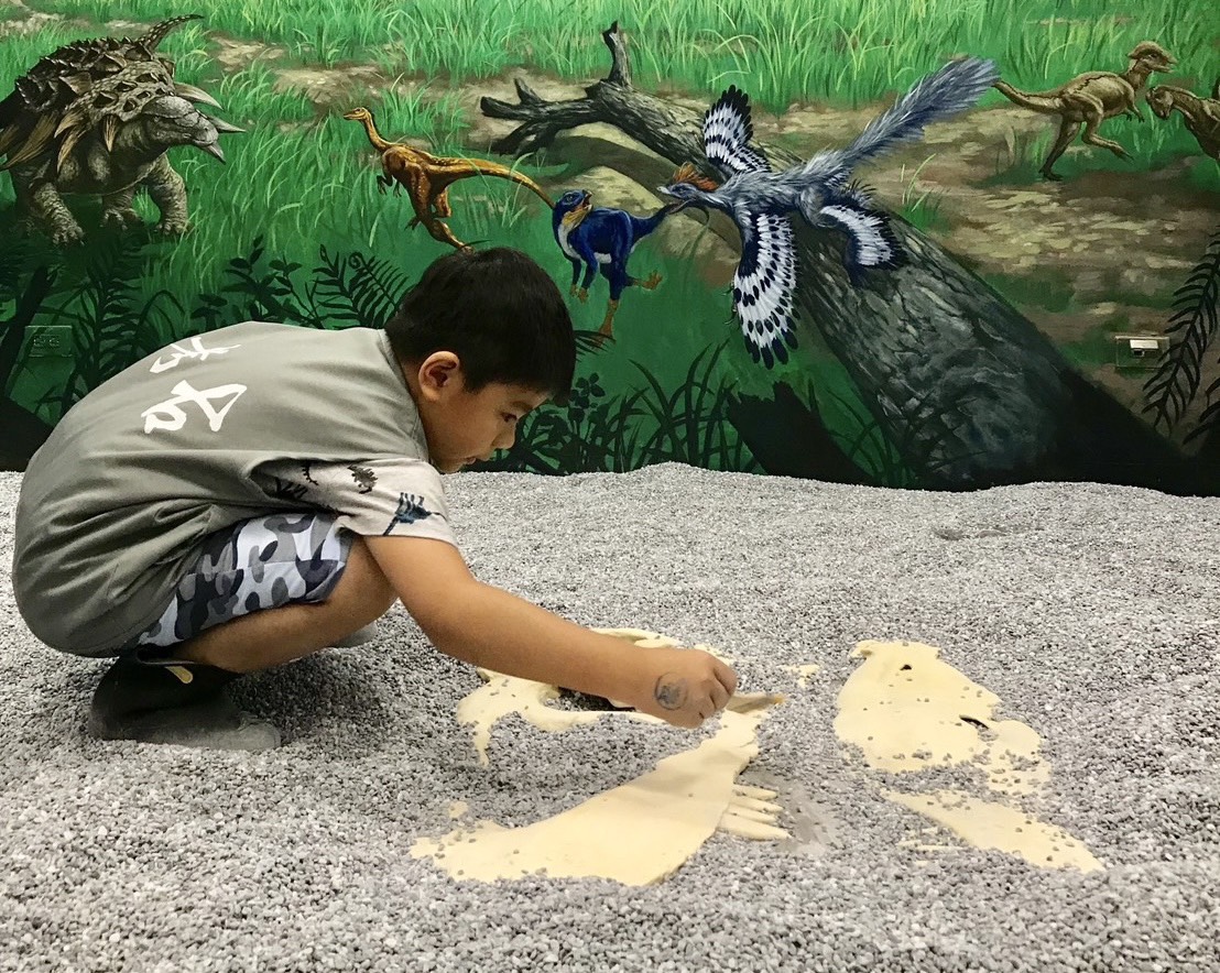 台南樹谷園區新春登場！親子同遊、文創體驗，闔家歡樂滿滿