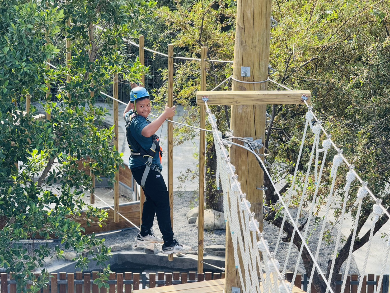 親子出遊首選  南市府邀您新春馬力全開玩樹谷園區