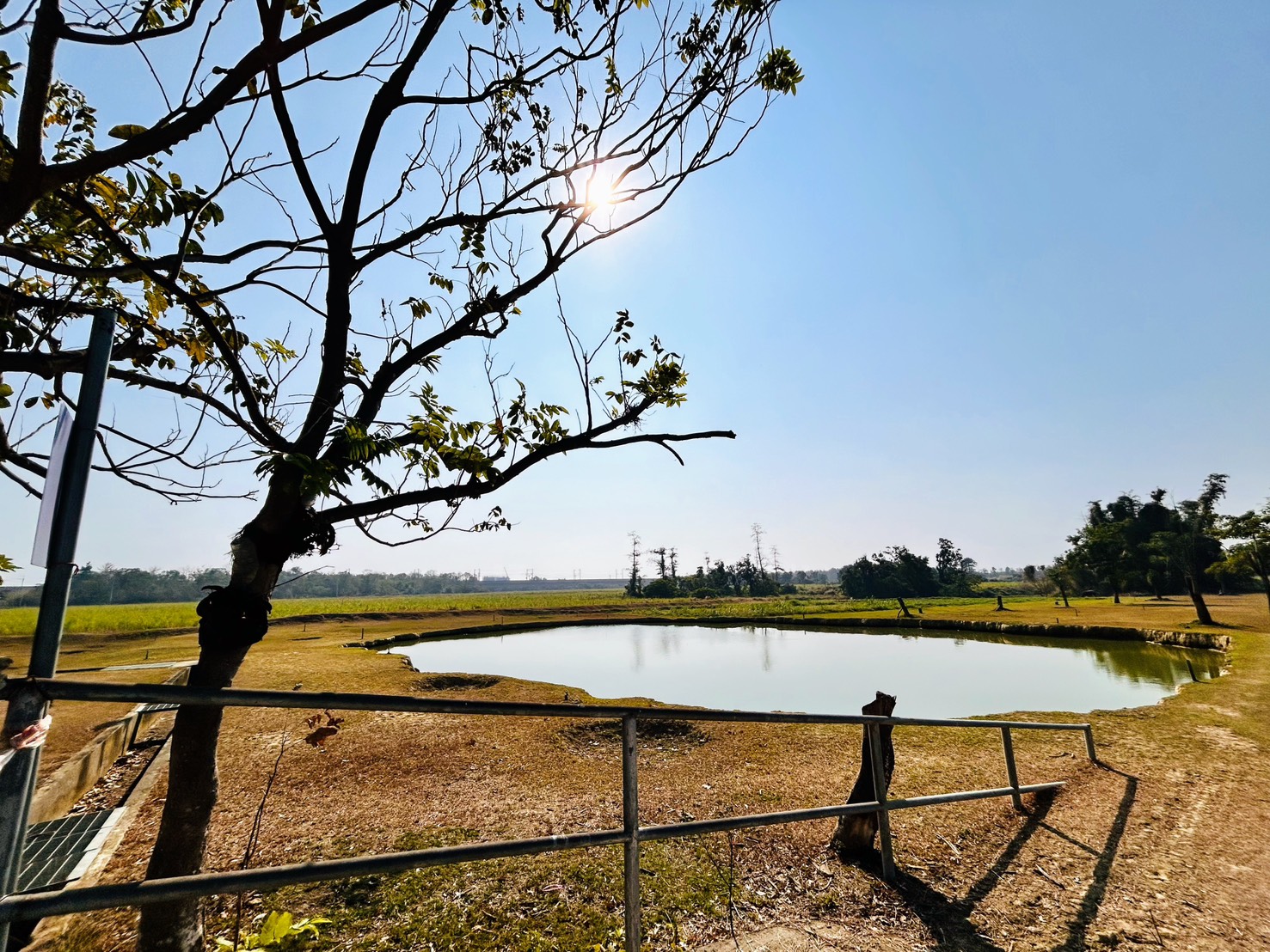 春節假期就去老牛家園！台南市府邀您踏青賞景過好年