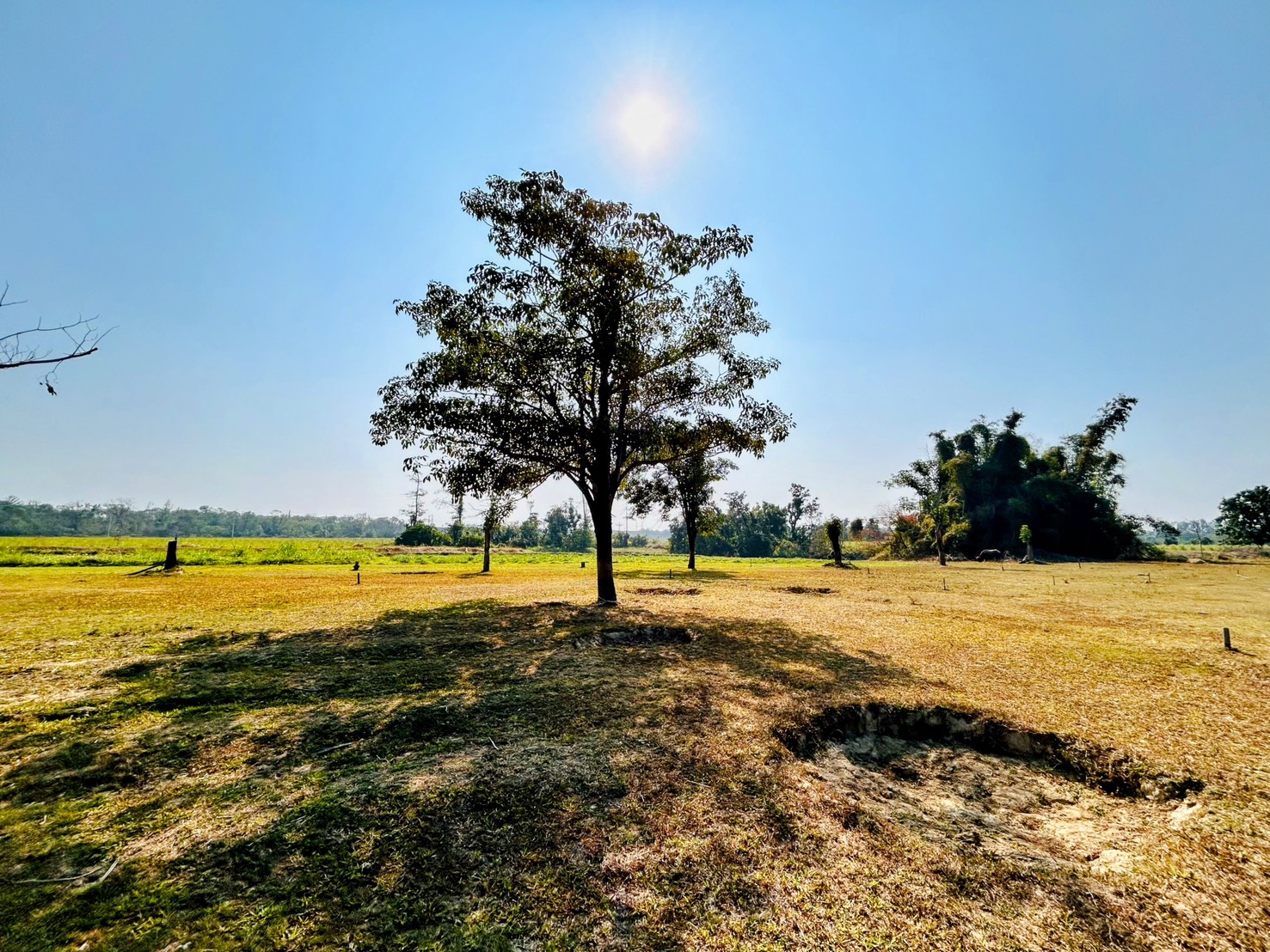 抓緊春節假期 南市府邀請民眾來老牛的家園區踏青趣