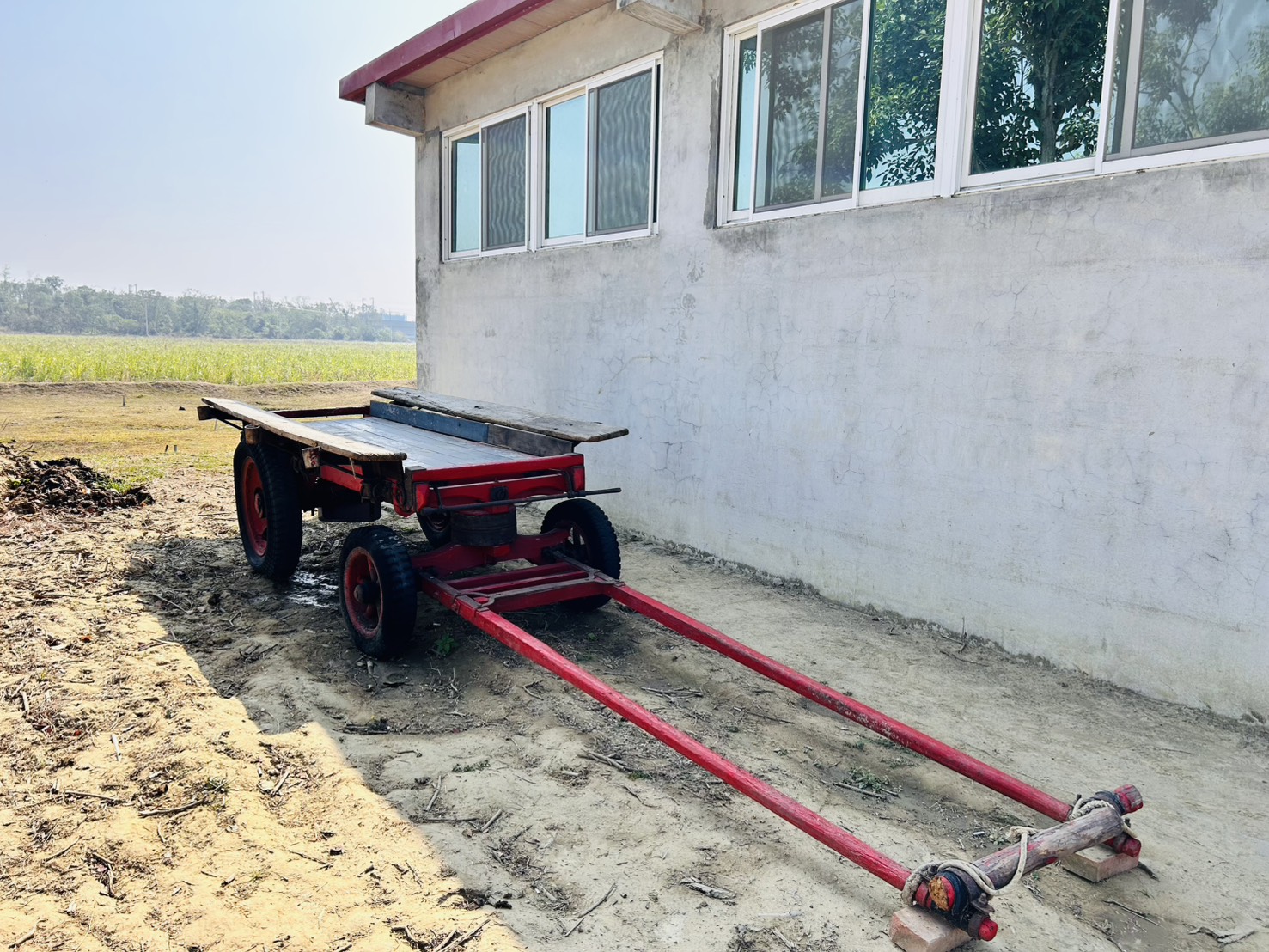 抓緊春節假期 南市府邀請民眾來老牛的家園區踏青趣