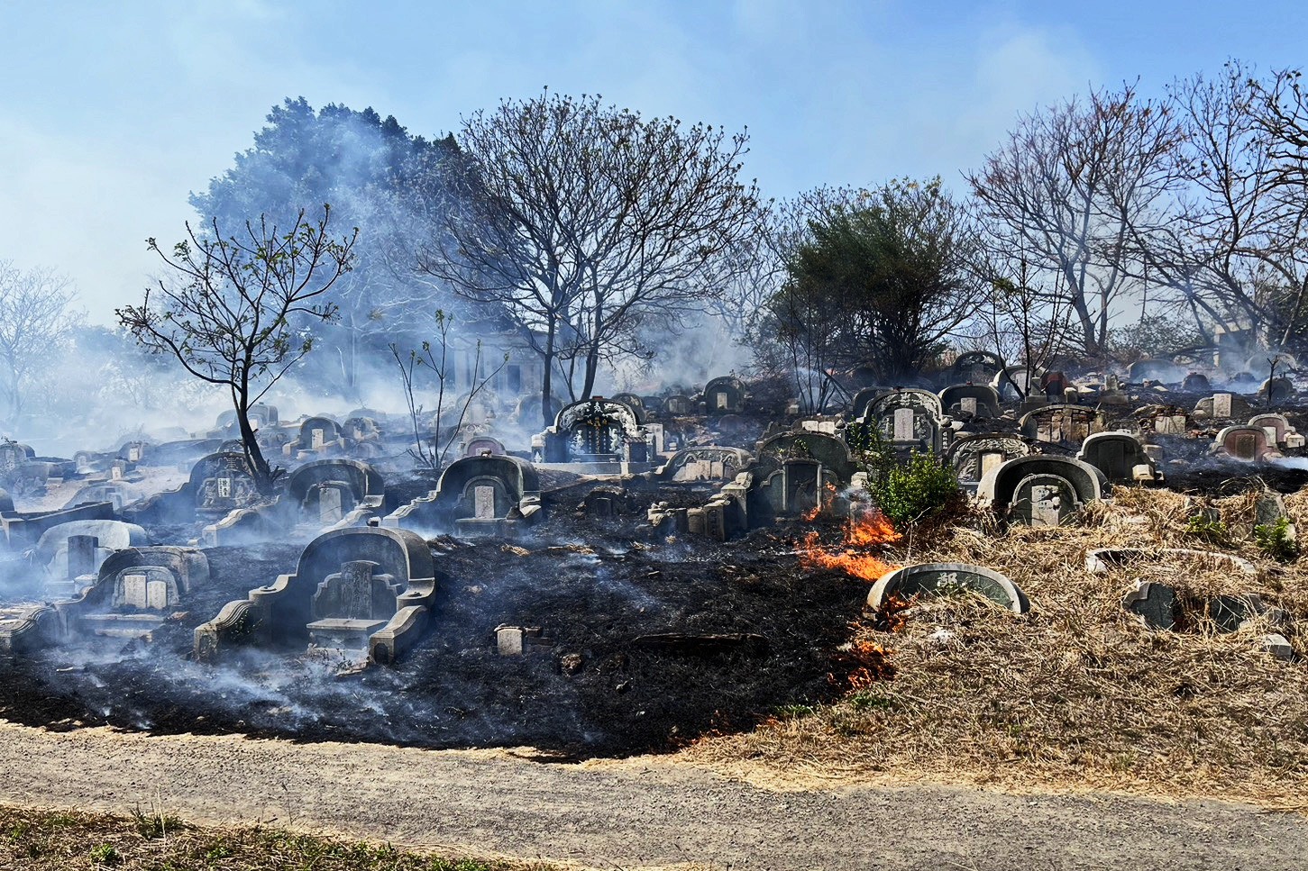 春節公墓火警頻傳 臺南殯葬所籲：祭祖切勿亂燒雜草，觸法得不償失