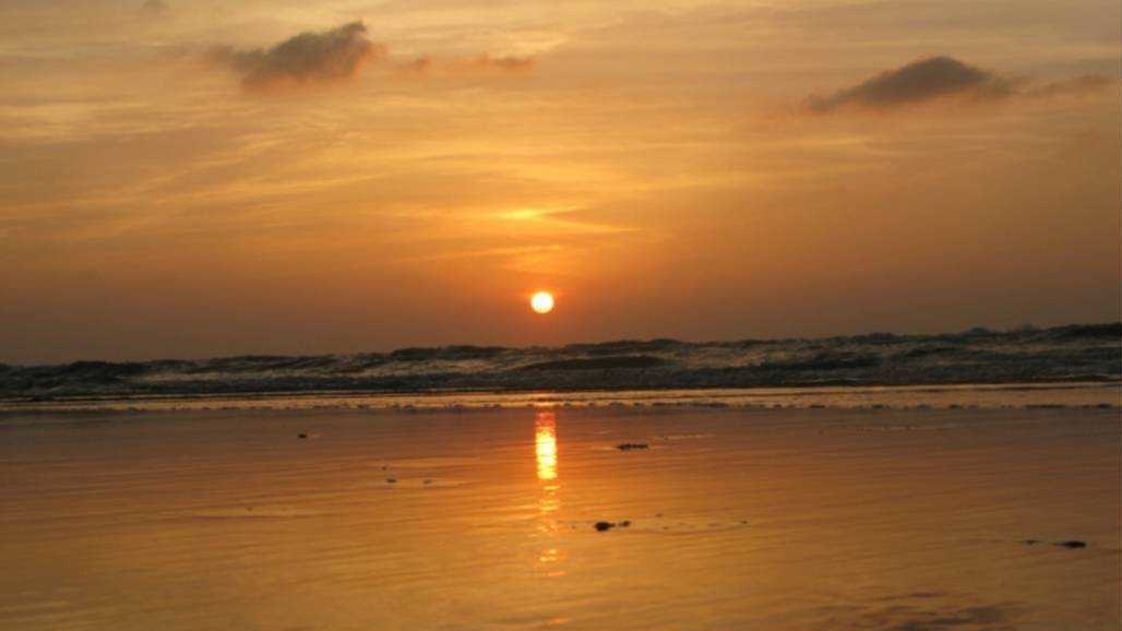 馬年春遊好去處 黃偉哲推薦來趟七股下山漁港生態遊