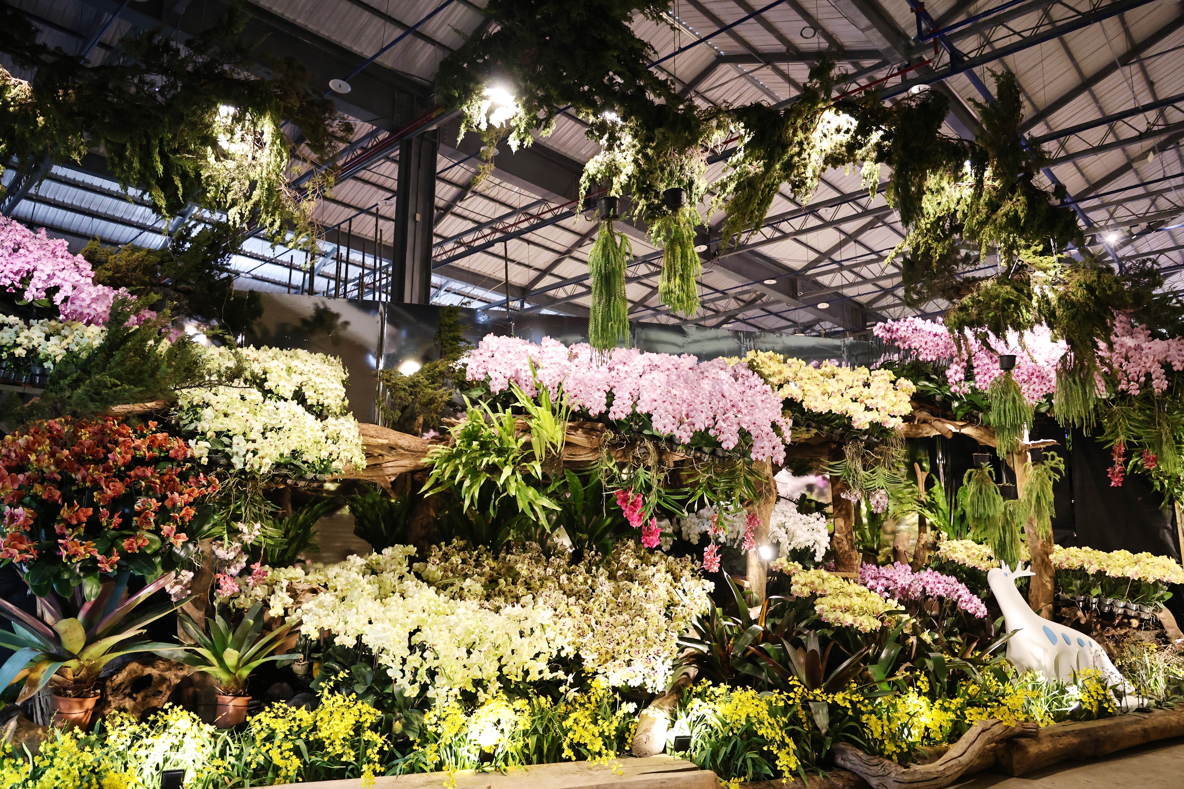 2026台灣國際蘭展暨花卉科技展2/27登場 黃偉哲推AI藝術打造花卉新體驗