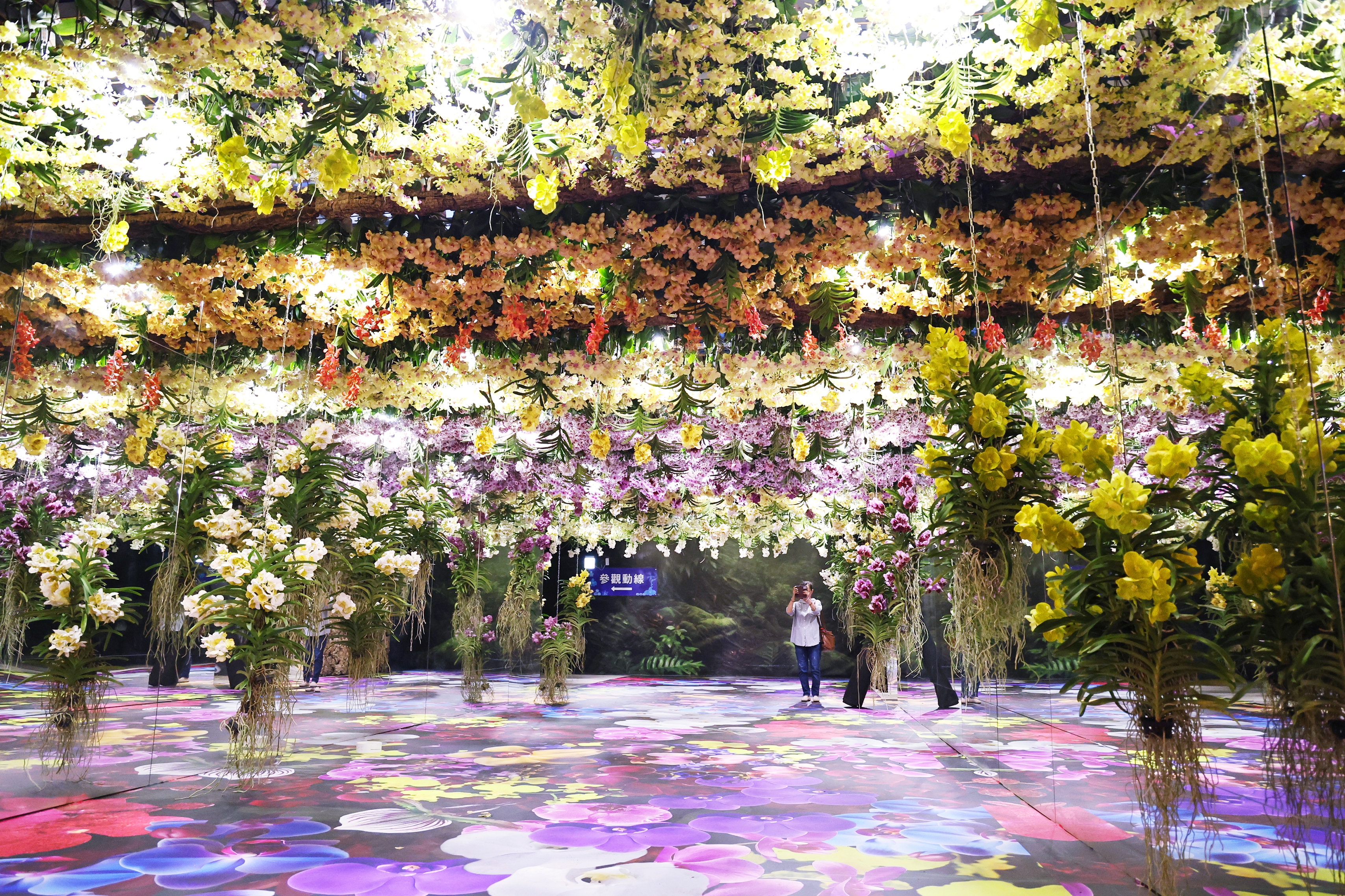 2026台灣國際蘭展暨花卉科技展2/27登場　黃偉哲推AI藝術打造花卉新體驗