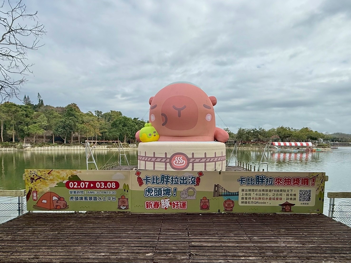 水豚寶寶「糯米」安平登場 萌翻228連假 臺南觀光亮點