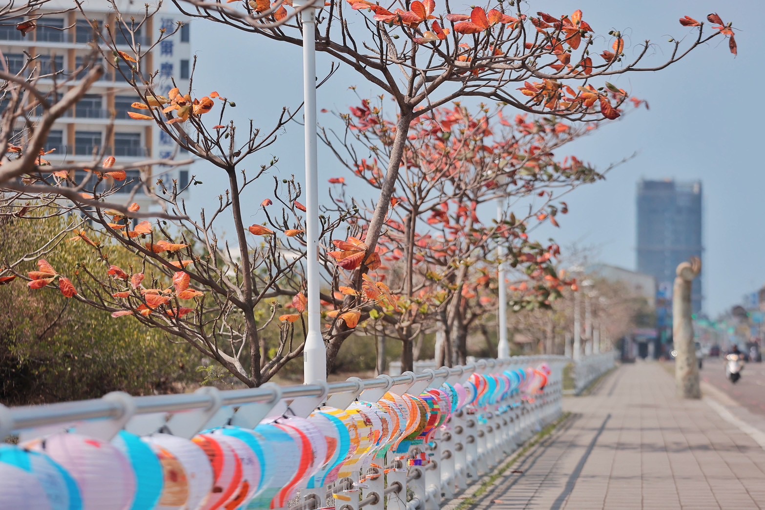 水豚寶寶「糯米」報到 萌翻安平 228連假來臺南看水豚、跟卡比胖拉拍照、拿限定小提燈