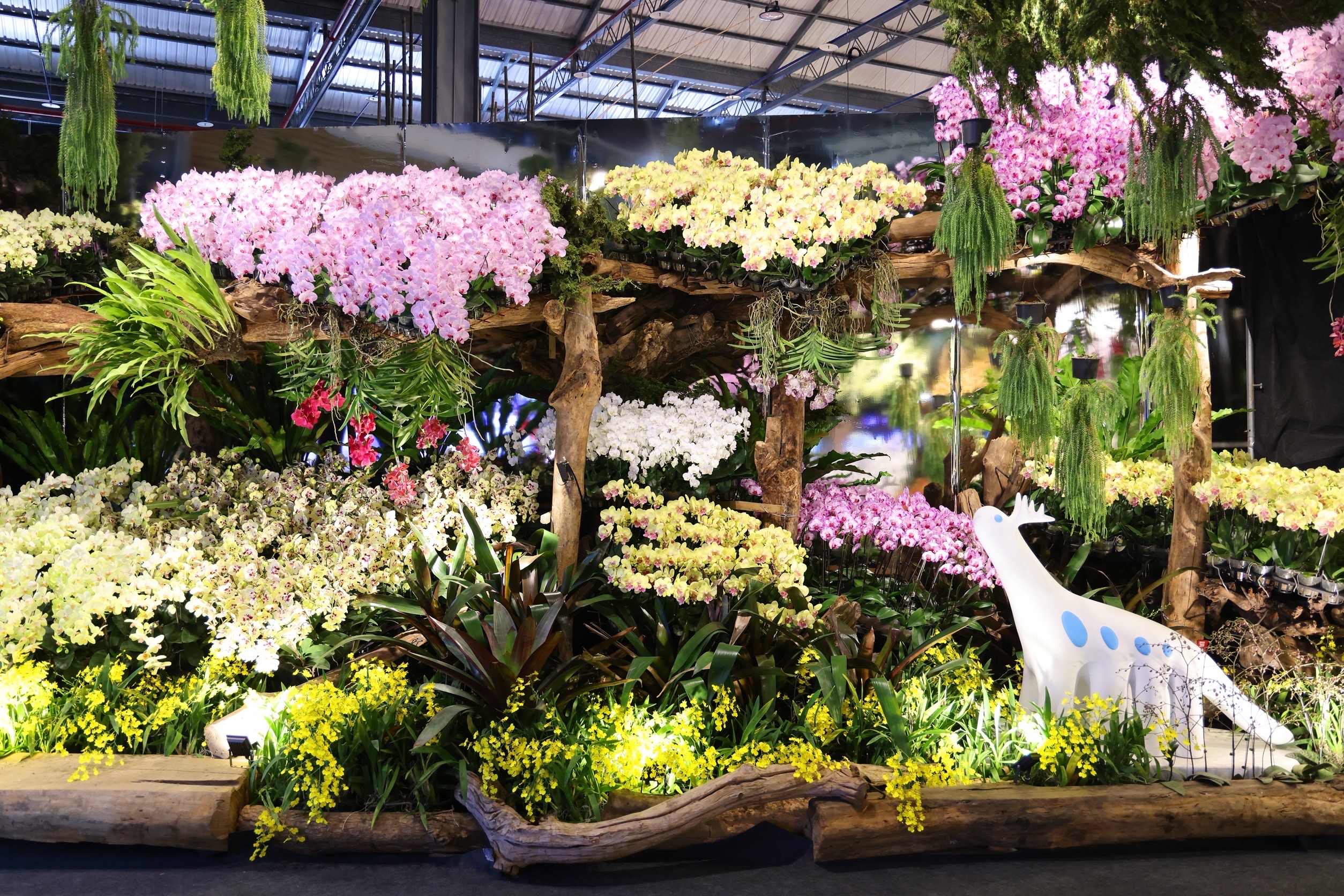 蘭花×科技雙展齊發2026臺灣國際蘭展登場賴總統出席揭幕