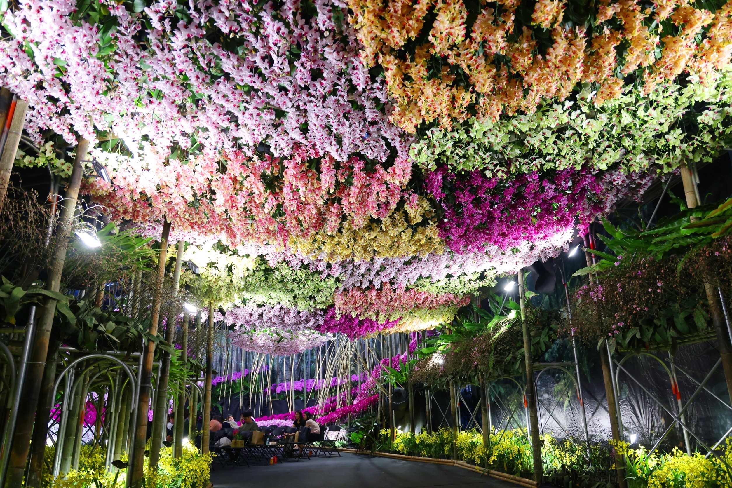 蘭花×科技雙展齊發2026臺灣國際蘭展登場賴總統出席揭幕