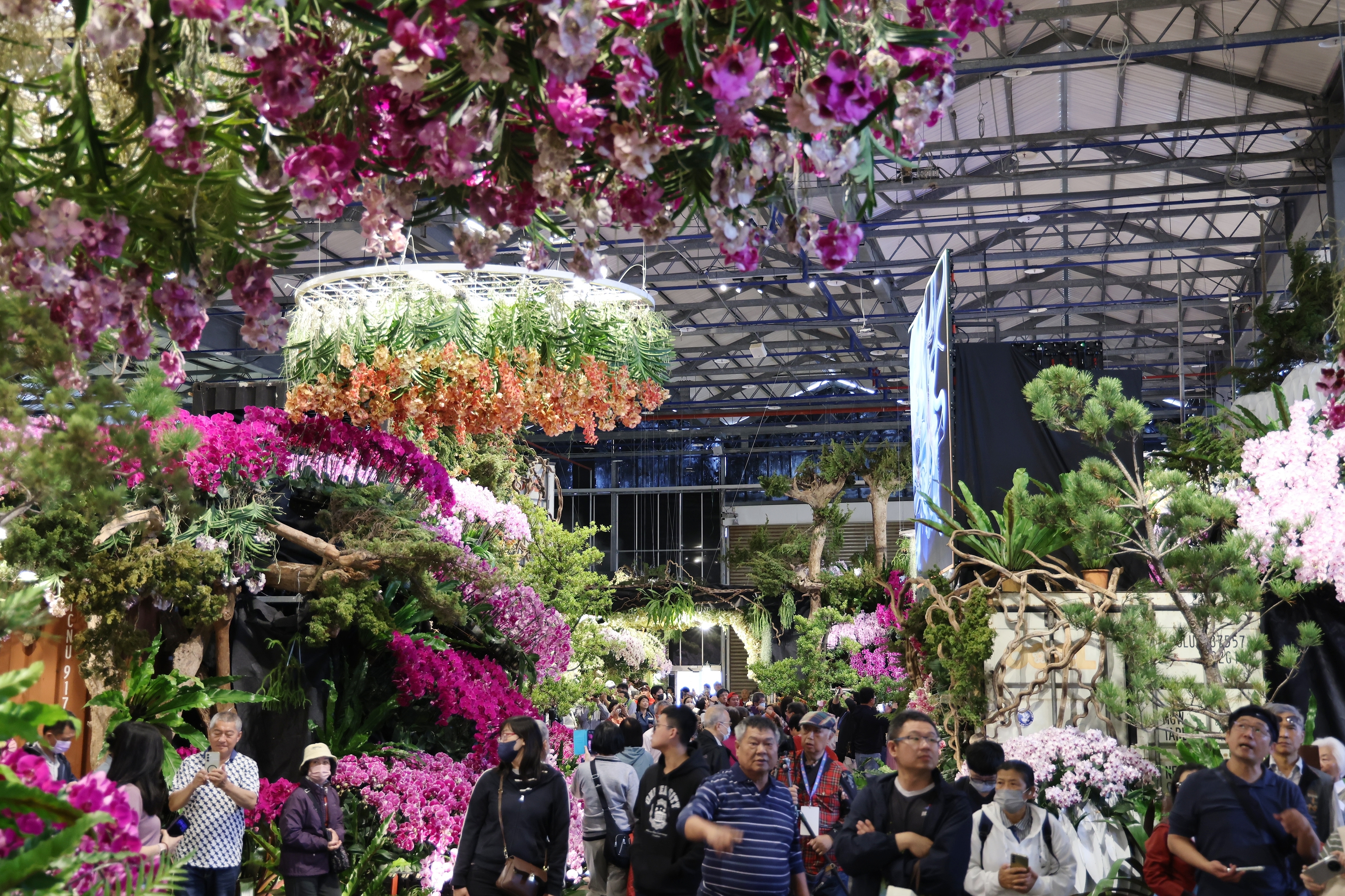 臺灣國際蘭展暨花卉科技展今開園   黃偉哲：只要夠強，世界就會為你開路