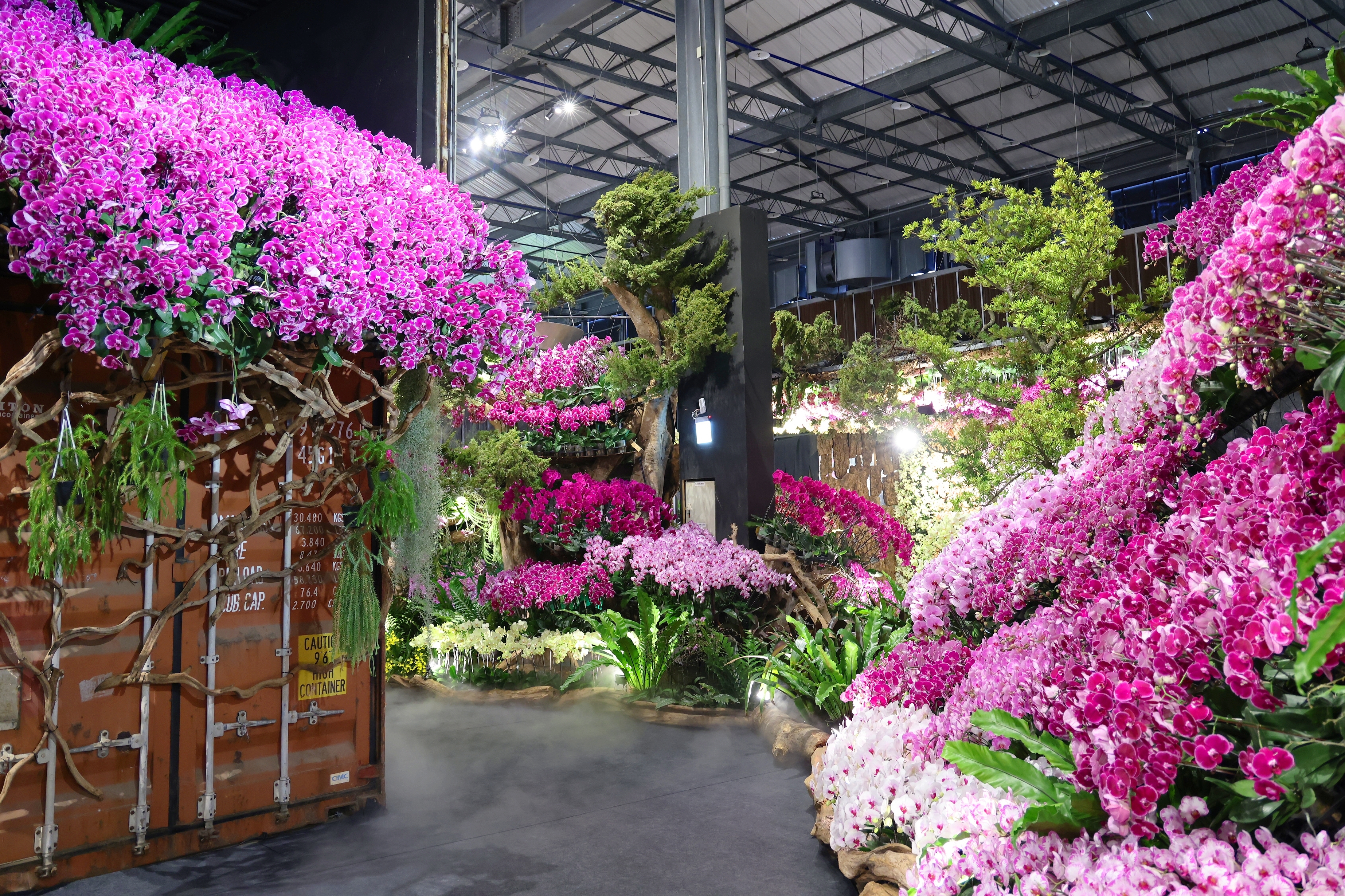 臺灣國際蘭展暨花卉科技展今開園   黃偉哲：只要夠強，世界就會為你開路