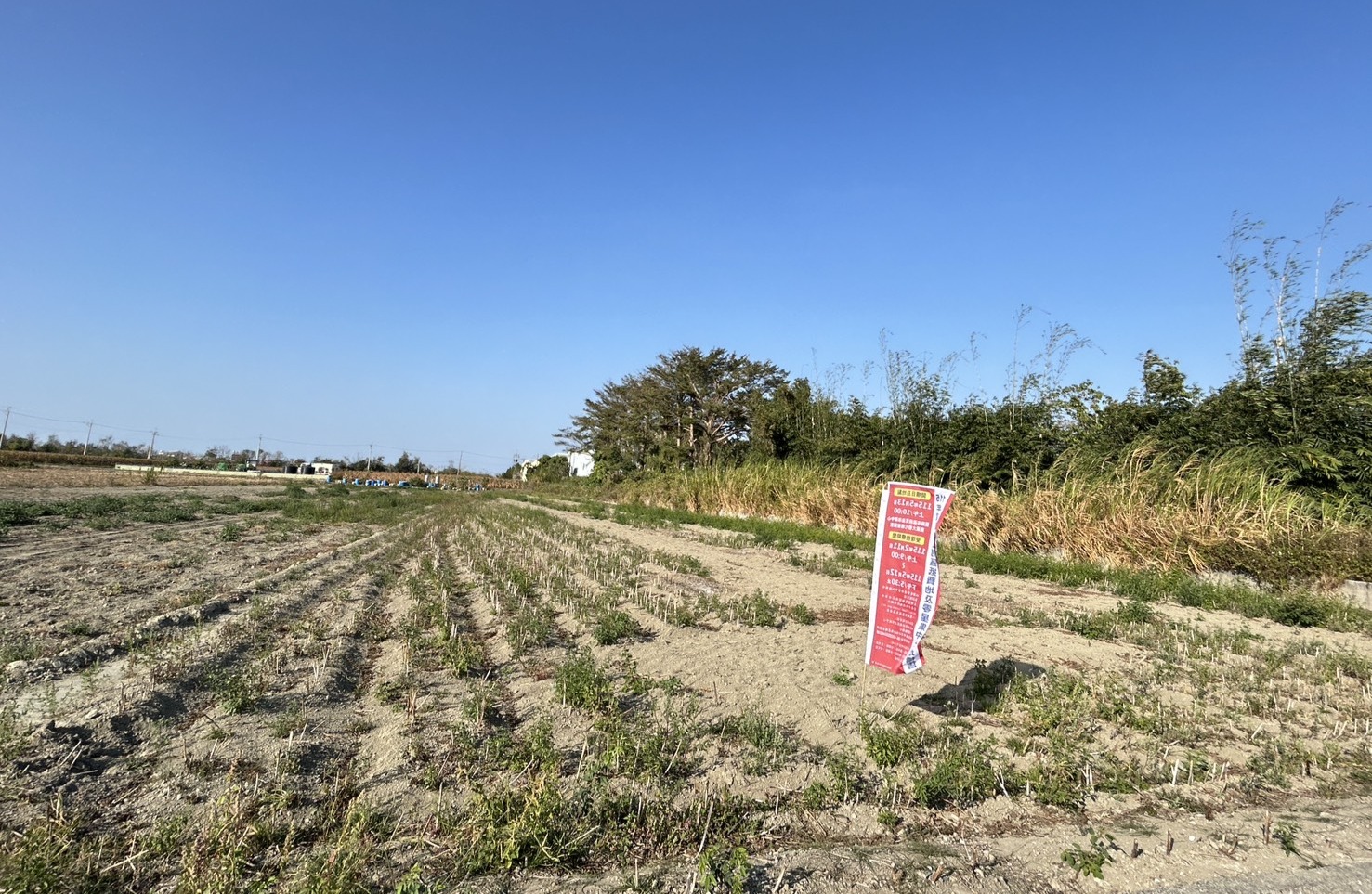 臺南市政府訂於115年5月13日辦理農地重劃區抵費地及零星集中土地開標，歡迎各界踴躍投標