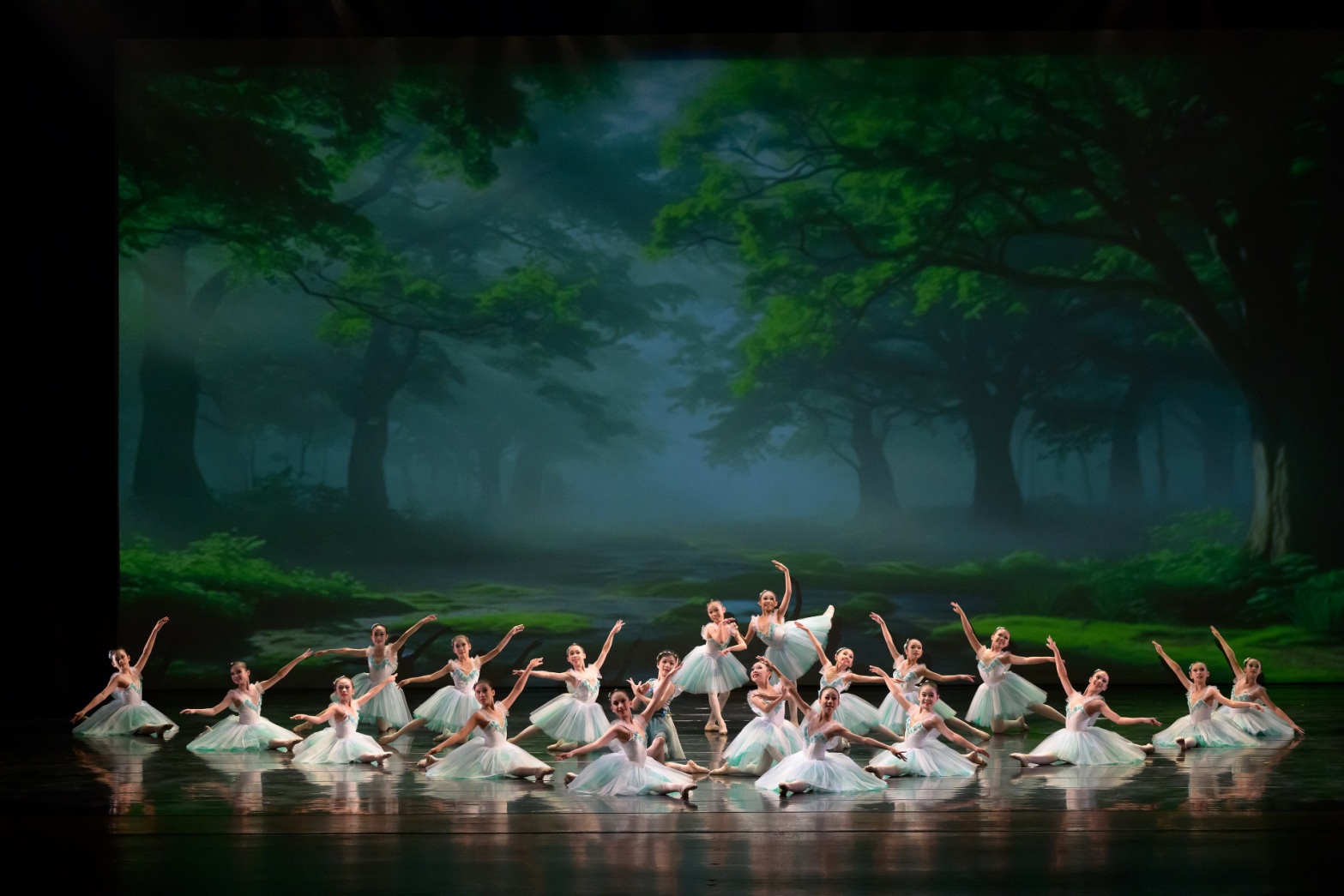 臺南市115學年度國小美術類及舞蹈類藝術才能班熱烈招生 3月9日起受理報名