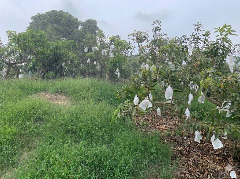 春雨報到紓解旱象 黃偉哲市長指示持續監控水情及防汛整備工作