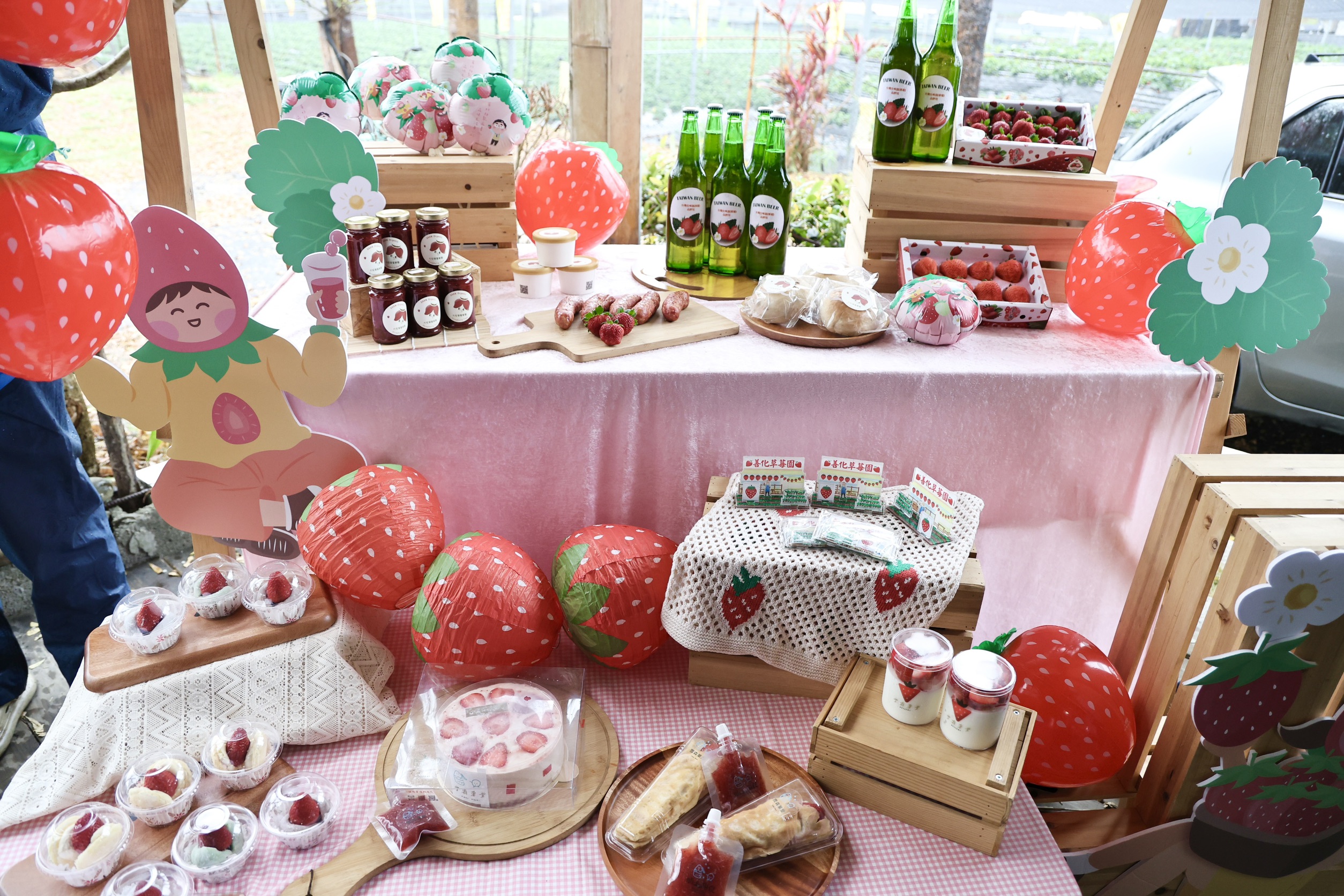 善化草莓季「莓好生活節」3/7甜蜜登場　黃偉哲邀全民體驗春日限定好滋味