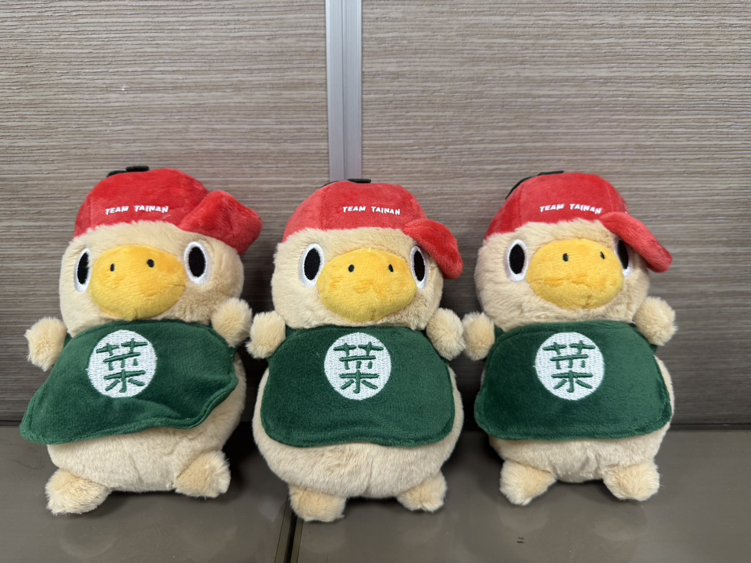 台南市特色公園遊戲場 新春抽獎活動 菜奇鴨玩偶贈送