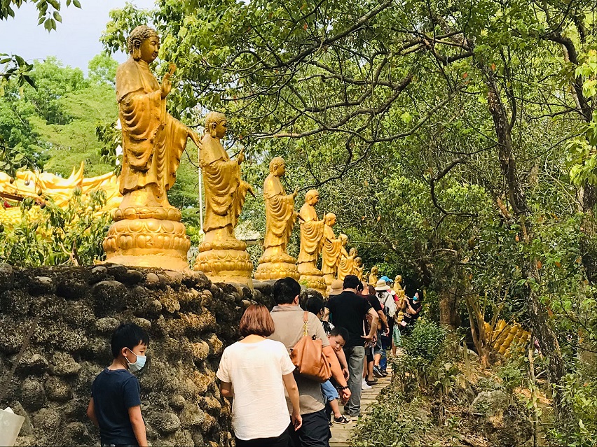 梅嶺梅峰古道紫牡丹盛開，邀民眾春遊楠西登山賞花