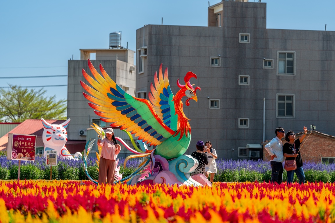 2026臺灣國際蘭展倒數計時　玫瑰、木棉、蜀葵接力綻放