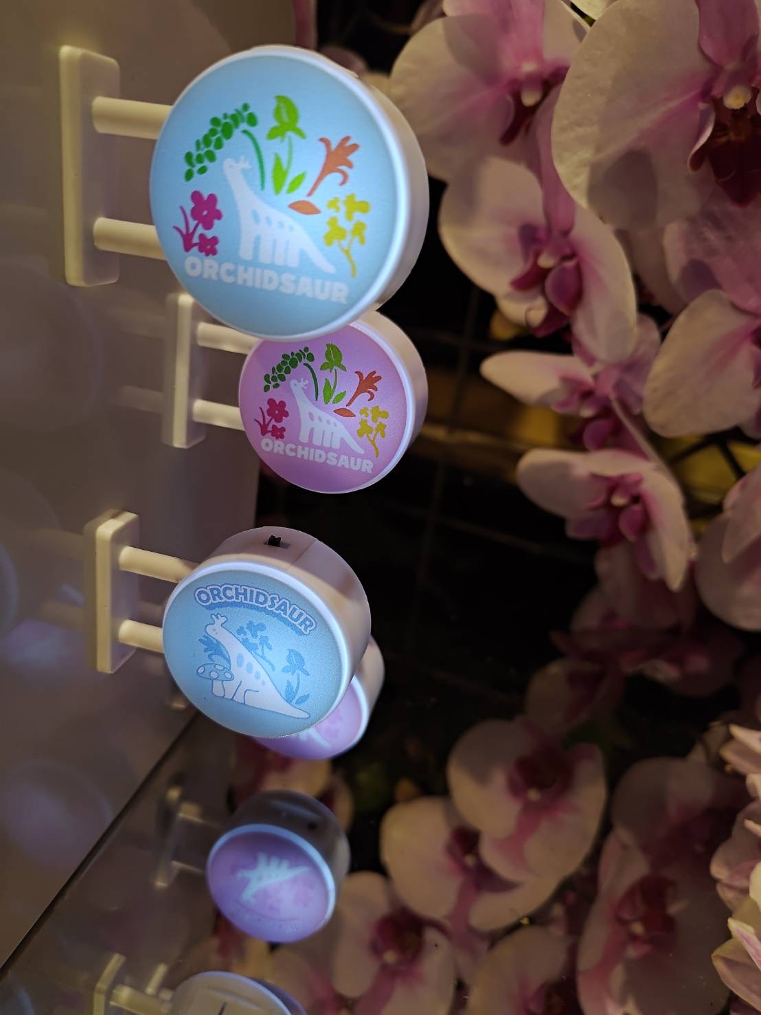 從日本紅回臺灣！超萌神獸降臨2026臺灣國際蘭展「蘭獸商店」人氣爆棚 掀起收藏熱潮