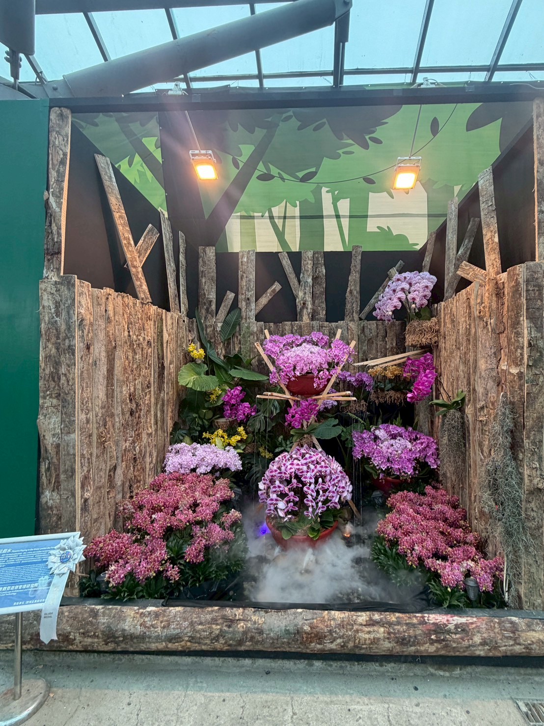 蘭花景觀競賽「最佳人氣獎」進入最後衝刺 南市府邀全民指尖應援抽好禮