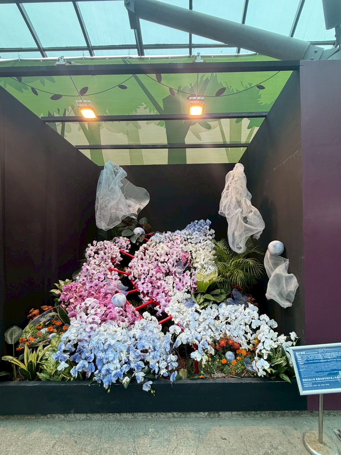 蘭花景觀競賽「最佳人氣獎」進入最後衝刺 南市府邀全民指尖應援抽好禮