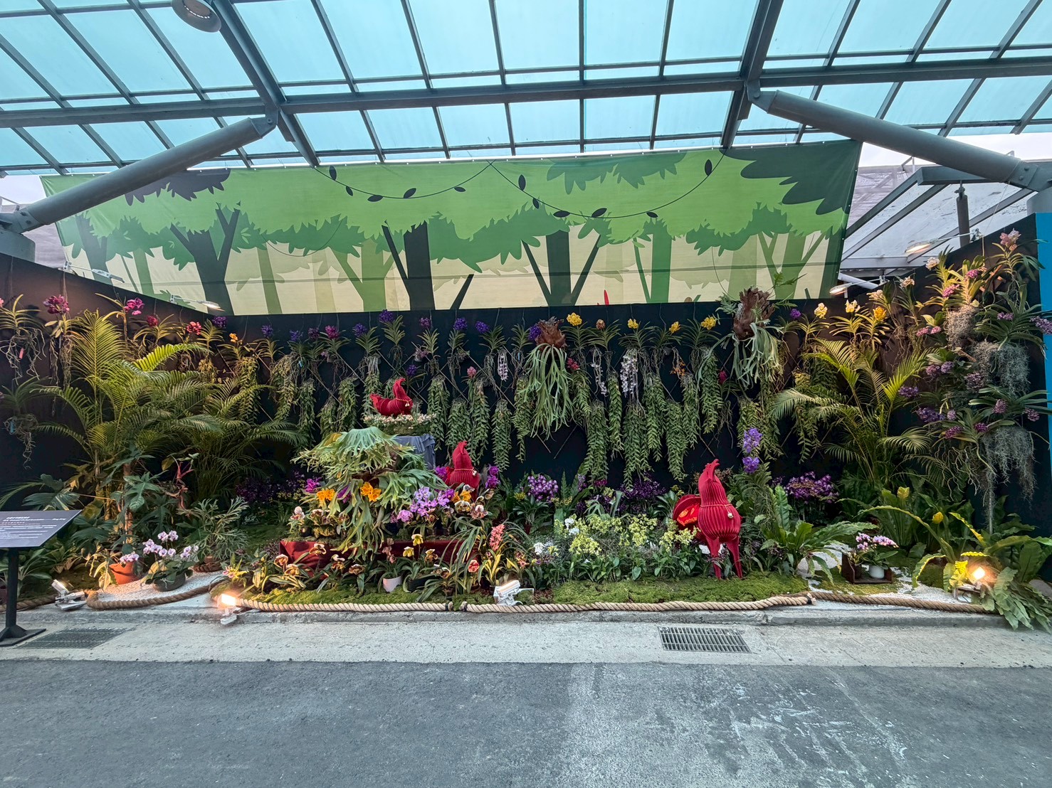 台南市蘭花景觀競賽最佳人氣獎 邀全民線上投票抽獎