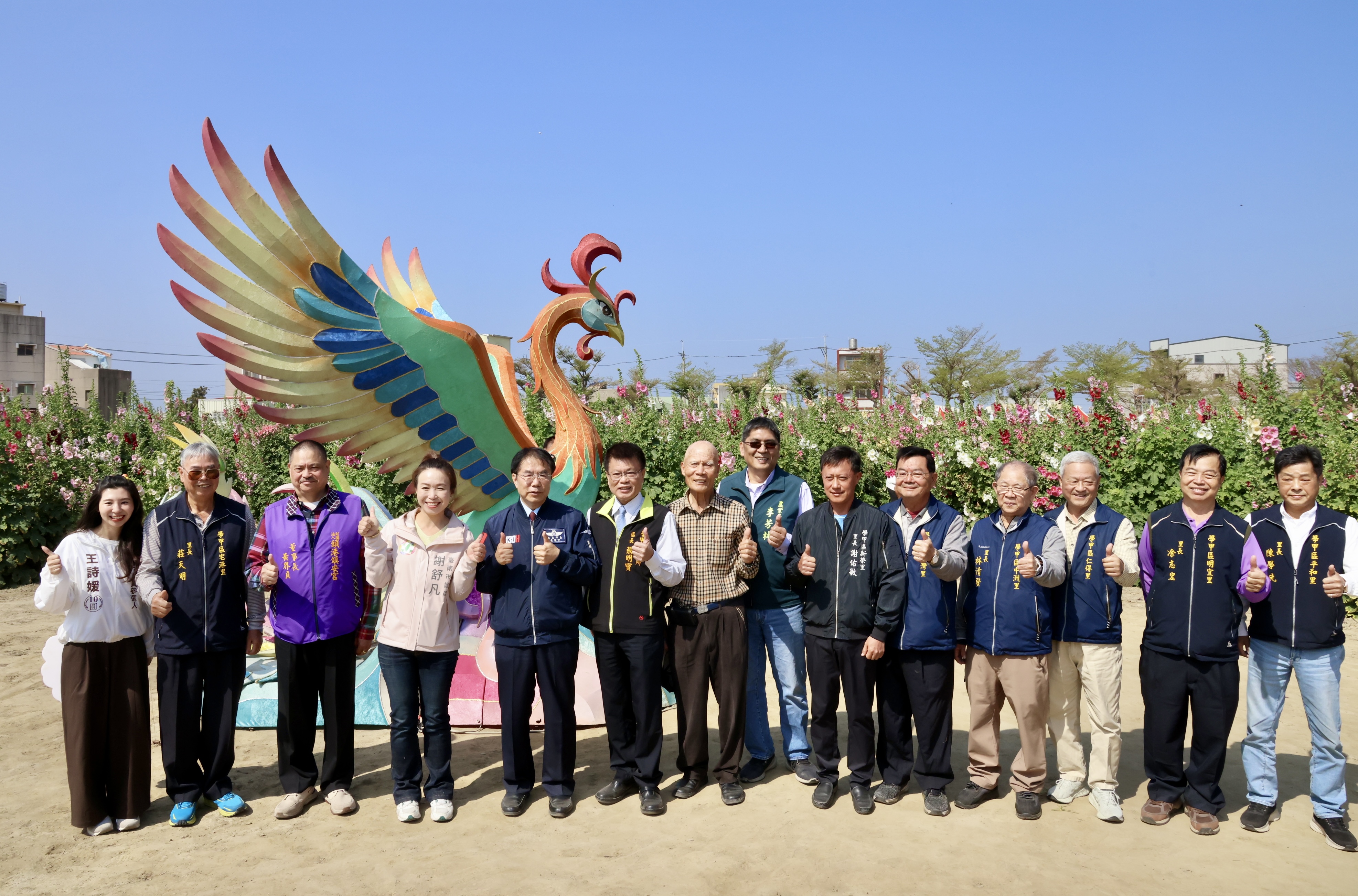 2.6公頃五彩花毯繽紛綻放  黃偉哲邀漫步學甲蜀葵花海