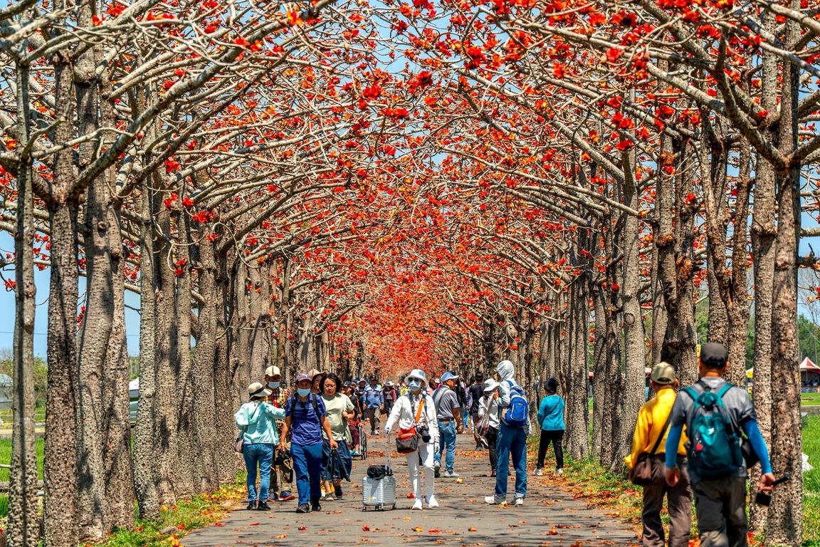 2026 臺灣國際蘭展最後倒數！賞蘭搭配深度療癒之旅 南市府邀大眾共賞春日盛宴