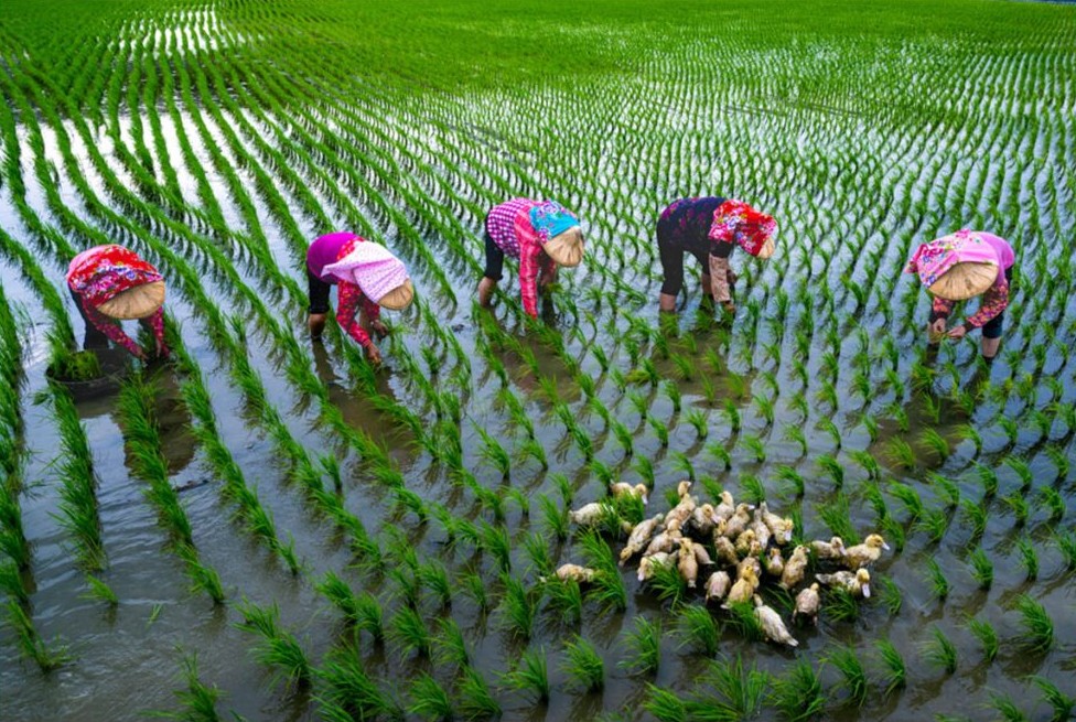 米蘭之鄉•後壁之美攝影展 於永華市政中心展出