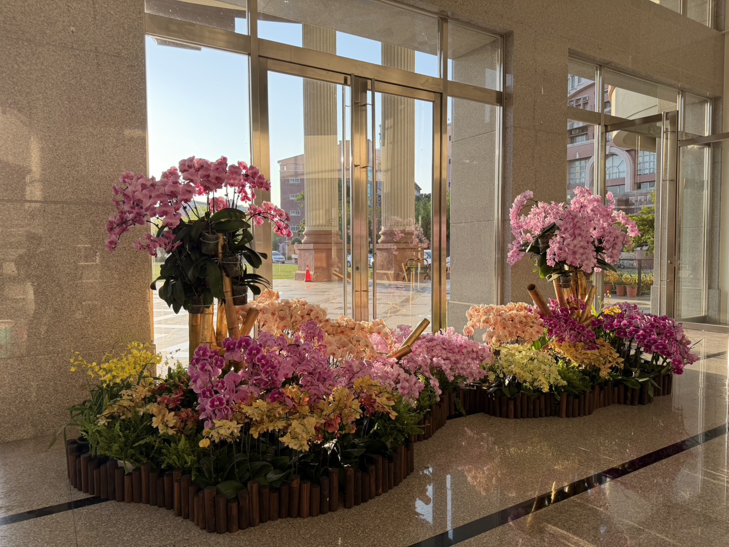 打造蘭藝辦公空間延續卸展蘭花生命力    市政空間展現新風貌