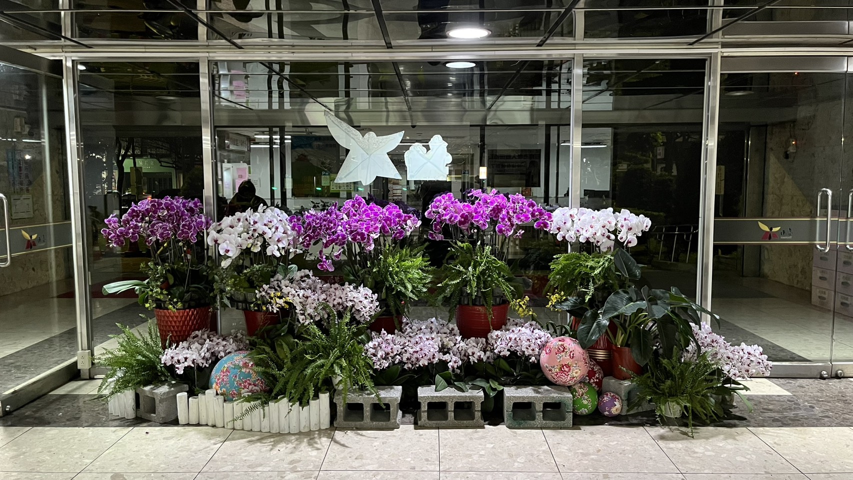 台南市打造蘭藝辦公空間 延續卸展蘭花生命力，市政空間展現新風貌