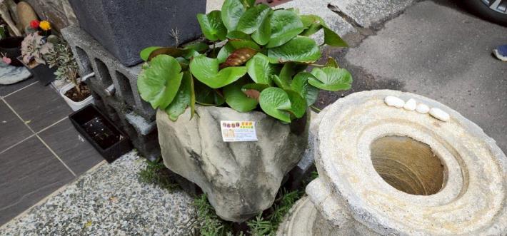 南市新增2例登革熱境外移入病例,市長黃偉哲請民眾旅遊不忘防蚊措施,醫療院所應依法加強個案通報!
