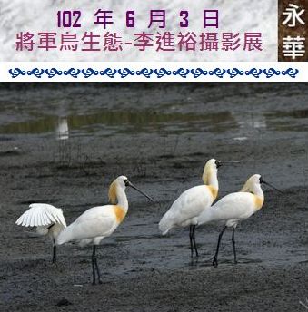 102 年 6 月 3 日 將軍鳥生態-李進裕攝影展(永華)